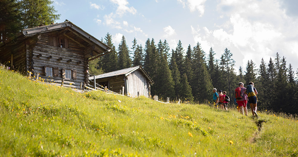 Almhütte vom Moarhof