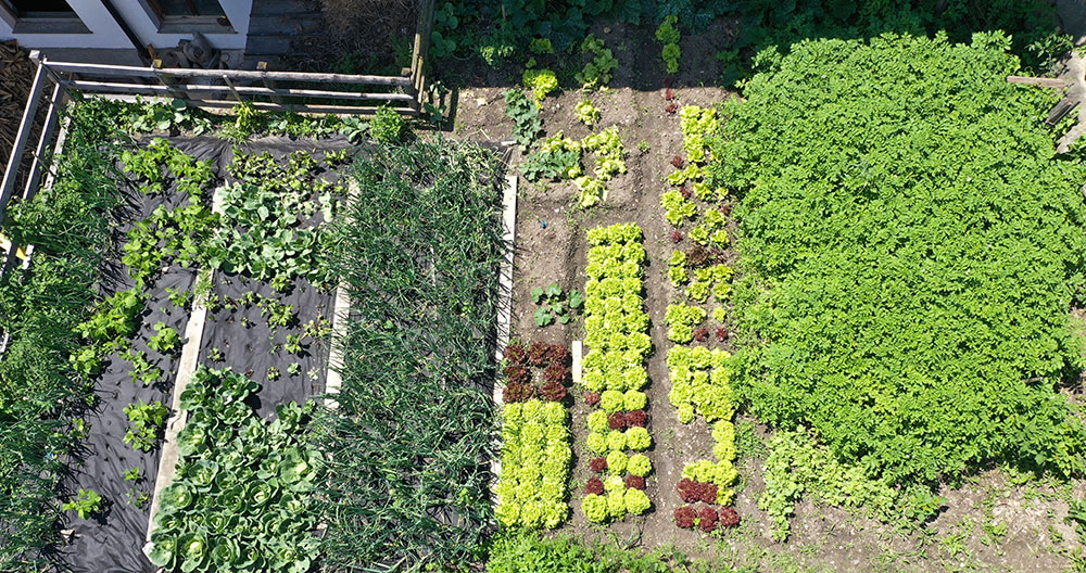 Kräutergarten am Moarhof