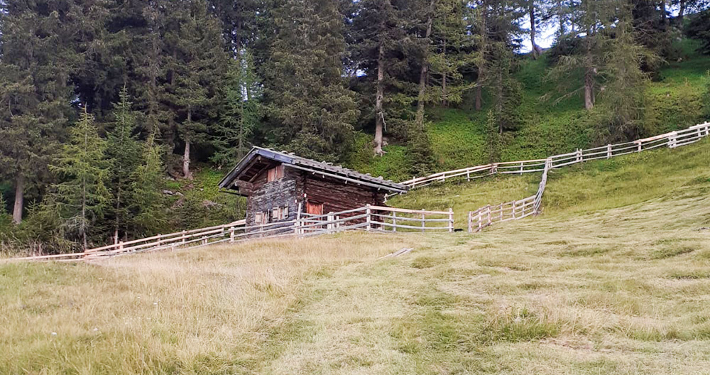 Almhütte vom Moarhof