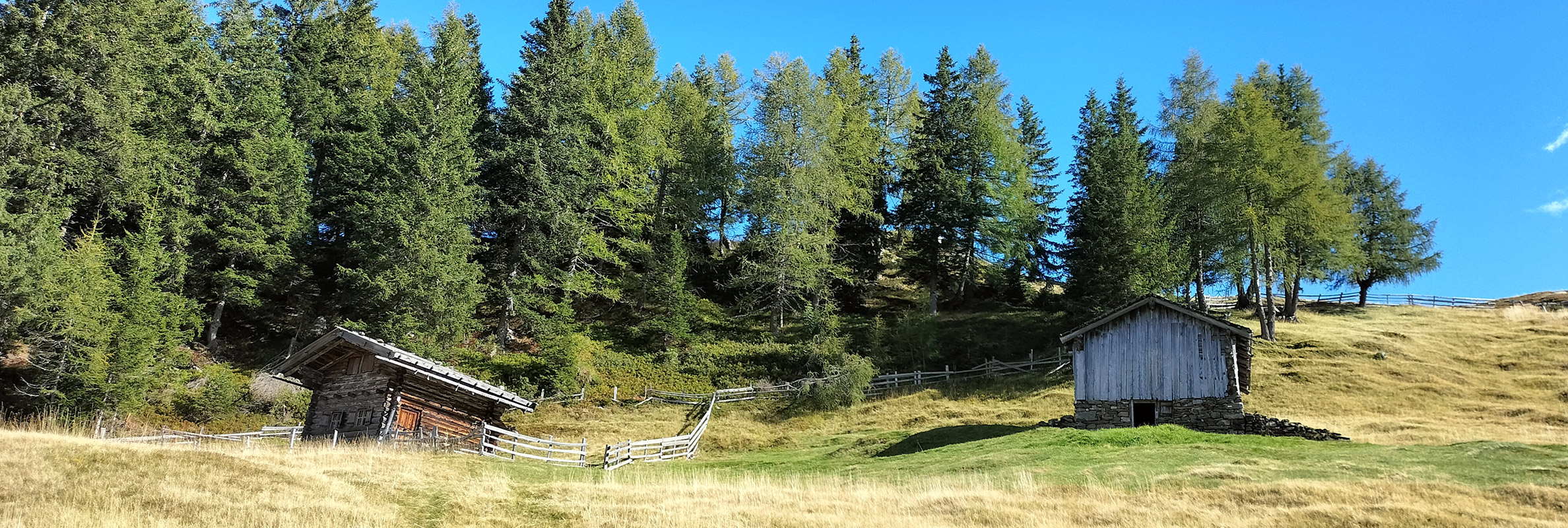 Almhütte vom Moarhof