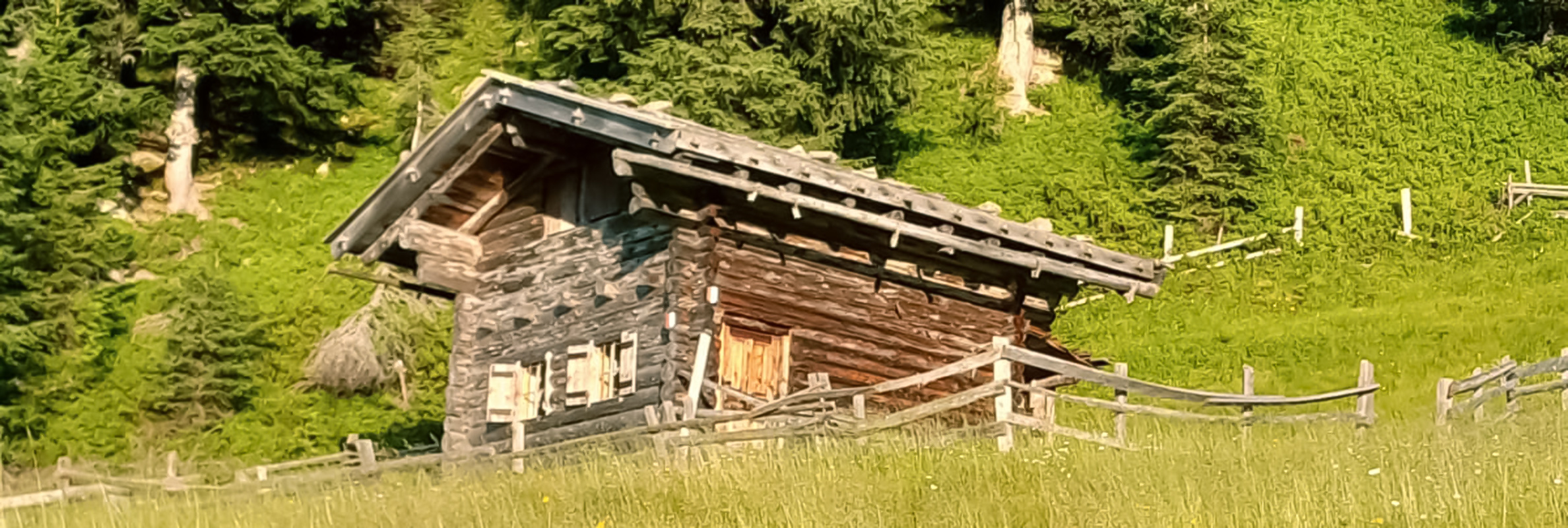 Almhütte vom Moarhof