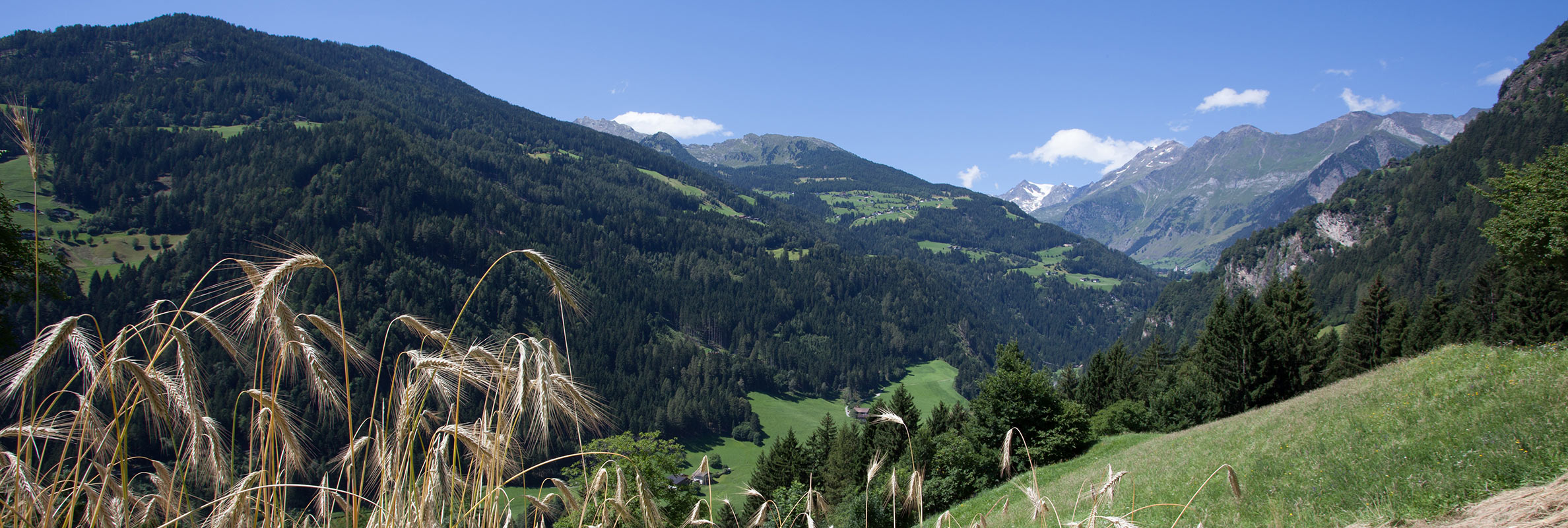 Moarhof in St. Martin im Passeiertal