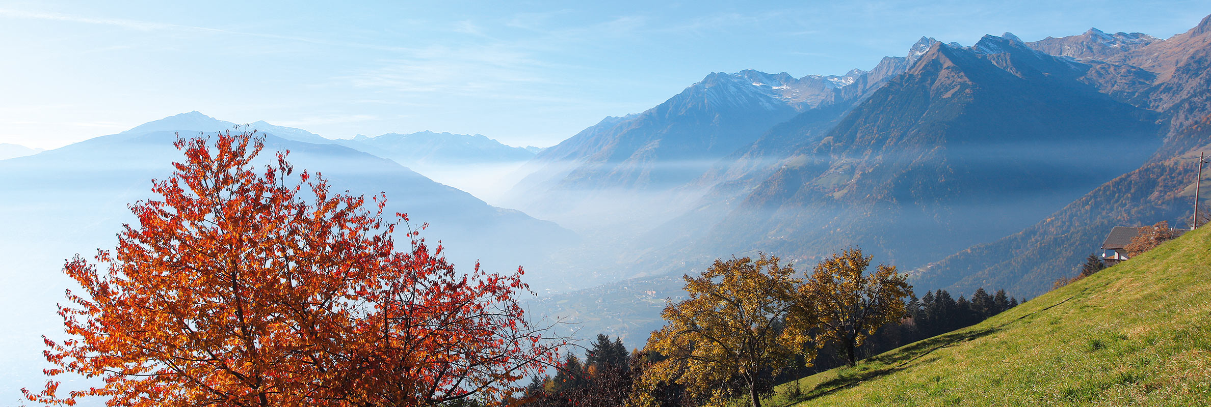 Moarhof in St. Martin im Passeiertal